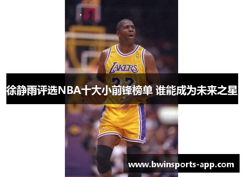 徐静雨评选NBA十大小前锋榜单 谁能成为未来之星